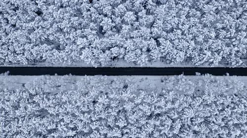 Asphalt road through snowy woods in winter. Transportation in winter.