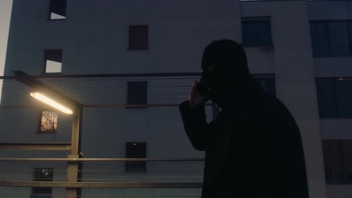 Criminal at Night
