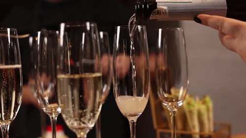 A bartender pours champagne. Close up