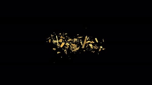 Dynamic Gold Metallic Text Shattering Logo Opener