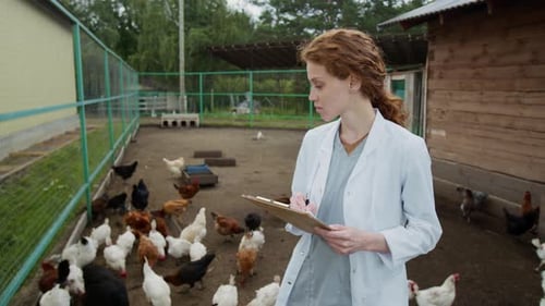 Female Vet Completing Farm Inspection Report next to Chicken Coop