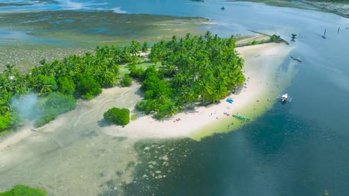Aerial View of a White Sand Beach with Palm Trees and Clear Shallow Ocean Water Featuring Small