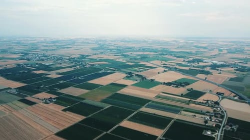 Aerial view of summer field