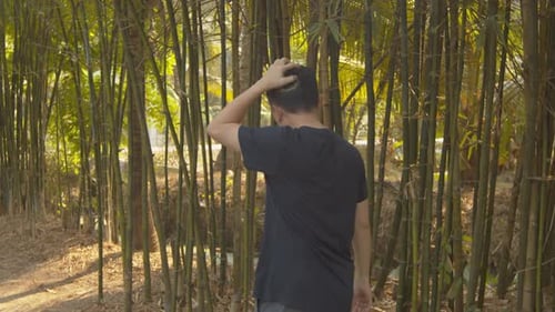 Walking through a bamboo grove in a garden, a man cannot stop scratching his itchy, dandruff scalp o