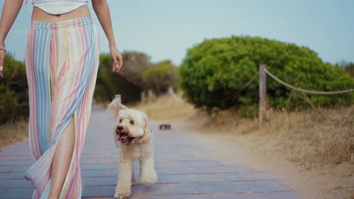 Beautiful young woman and dog at the beach.