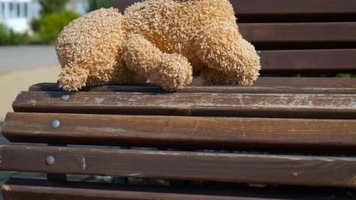 brinquedo abandonado