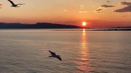 Möwen fliegen bei Sonnenuntergang über das Mittelmeer mit einer Filmmusik Meereslandschaft im Hintergrund