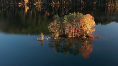 A tiny island surrounded by the dark waters. A small cabin is hidden under the trees. Yellow autun l