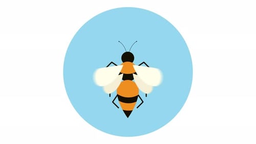 Bee