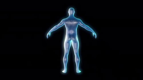 Rotating Holographic 3D Human Body Wireframe for Technology and Medical