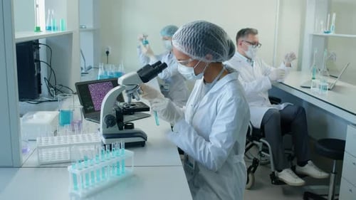 Scientists Conducting Research in a Modern Laboratory
