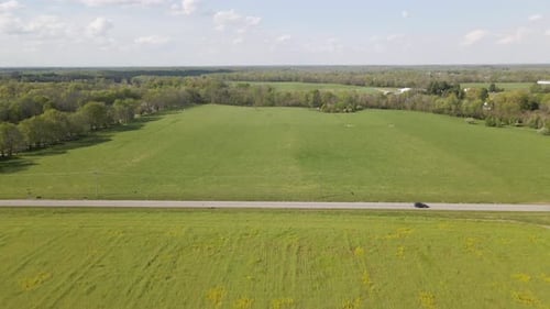 4K-Flugzeug-/Drohnenüberführung über Brachfeld mit Gras und Blumen.