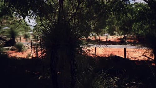 Nature Landscape With Bush Trees And Red Dirt Road