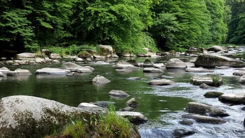 Landscape with forest, river Sazava and stones. Czech republic