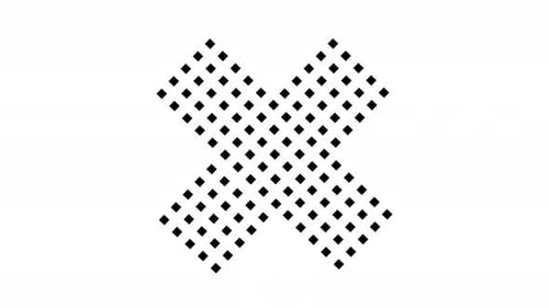 Minimalist Geometric X Shape Reveal