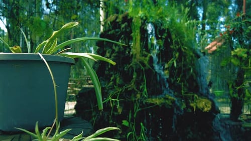 small waterfall in the middle of the lake at numidia park Algeria