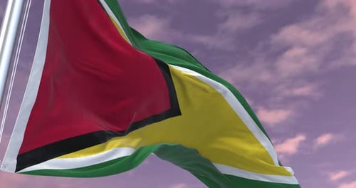 Guyana Flag Waving in Wind with Realistic Fabric Animation