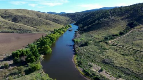Drone aerial landscape of trees vegetation along riverbed creek water stream in bushland forest vall