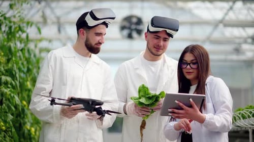 Researchers Study Greens with Technology in Greenhouse