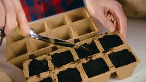 Unrecognizable Woman Planting Vegetables Seed Indoors for Next Replanting in Ground Female Putting
