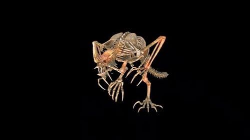 Devil Dinosaur Skeleton Walk Idle