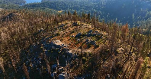 Rising above the plain top of the mount with dry pine trees on.