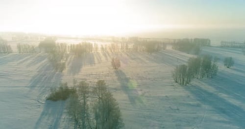 Aerial Drone View of Cold Winter Landscape with Arctic Field Trees Covered with Frost Snow and