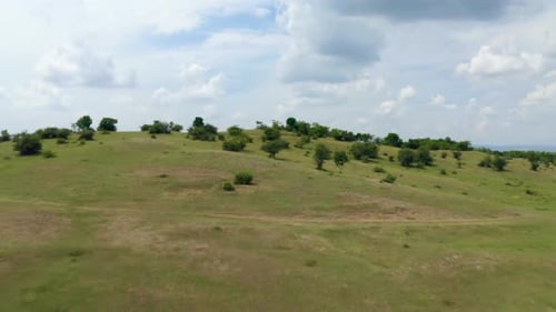 Drone aerial reveal a landscape with forest and field on a sunny summer day