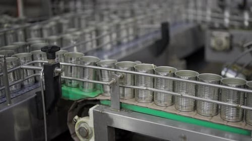 Line production of canned fish factory.