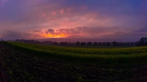Magic Timelapse Fog Over Rapeseed Canola Field at Pink Orange Sunset Sun Rays Emerging Through