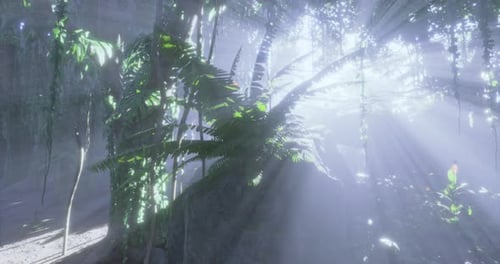 Lush Tropical Forest with God Rays Animation