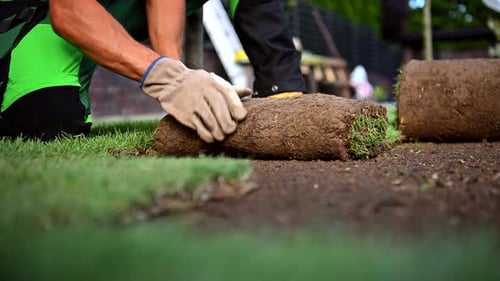 Backyard Garden Turf Grass Installation