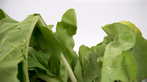 Heap of green fresh rucola or arugula leaf isolated 4K