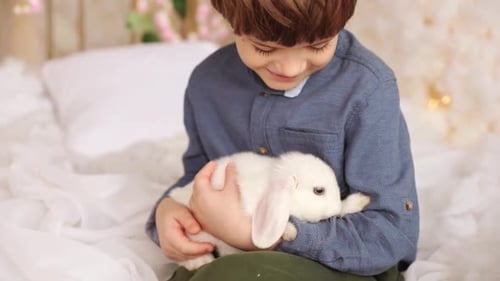 Happy Child Gently Holding White Rabbit