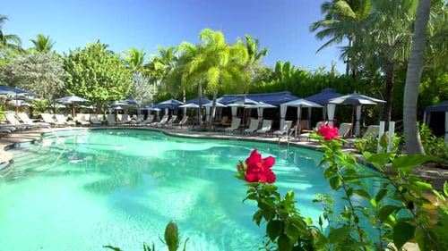 Resort Pool with Lounge Chairs and Umbrellas Aerial