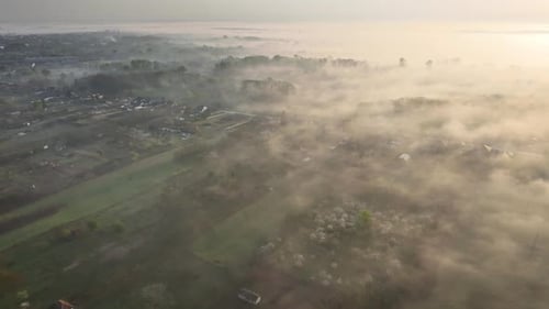 Flying over fog-covered countryside in spring, adorned with blossoming gardens. Foggy spring morning