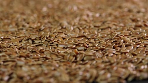 Flax seeds rotating background side view. Linseed rotate. Healthy nutrition, dieting concepts