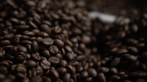 Coffee Beans Being Churned Close Up
