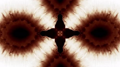 Organic Fluid Ink Wash Kaleidoscope Abstract Motion Background