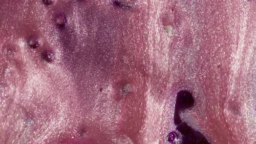 Swirling Pink and Purple Abstract Liquid