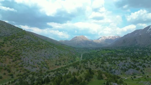 Magnificent pine forests mountain landscapes