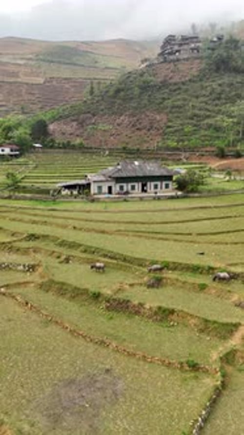 Vídeo aéreo sobre as belas paisagens de Sapa Sa Pa Lao Cai, Vietnã