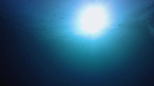 Blue Sea Surface Water