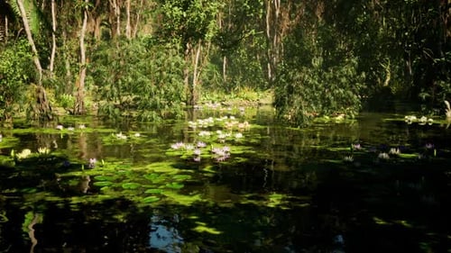Daylight Tropical Jungle in Vietnam with Water Lilies