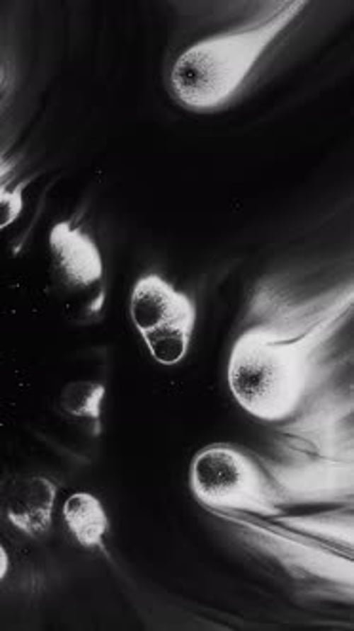 Abstract Black and White Ink Spreads