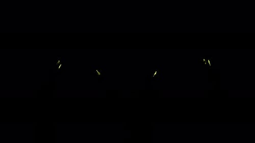 Fireworks on the sky 10