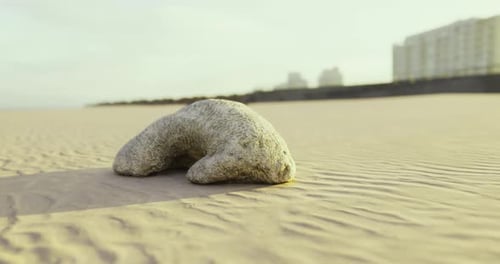 A Smooth Curved Rock Rests on the Sandy Beach Surrounded By Gentle Dunes