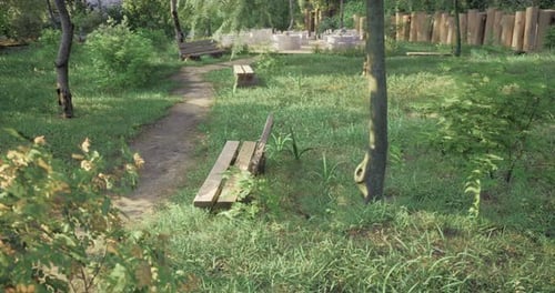 Relaxing Green Park with Benches and Walking Paths During Sunny Day