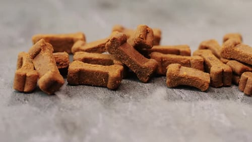 Food Treats for Dog Dogs Dainty on Grey Background Closeup Macro Animals Concept Pets Friends