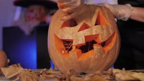 Woman Carves Halloween Pumpkin Jackolantern Closeup